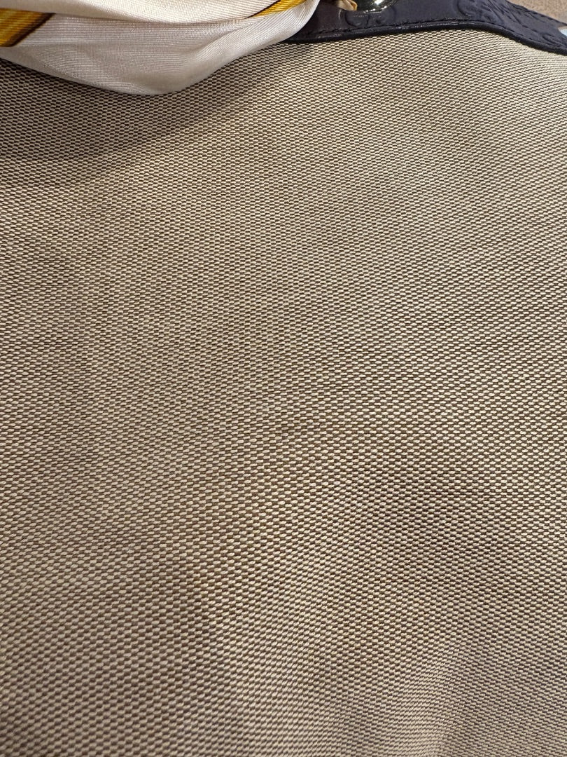 Gorgeous Gucci Positano Tote, Large
