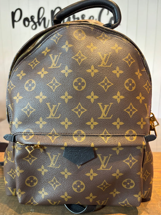 Louis Vuitton Palm Spring Backpack