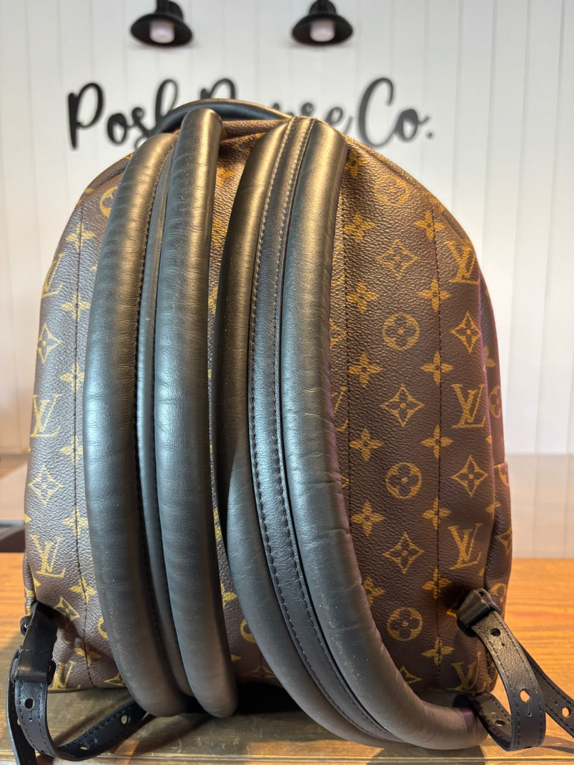 Louis Vuitton Palm Spring Backpack