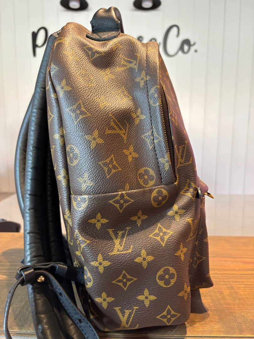 Louis Vuitton Palm Spring Backpack