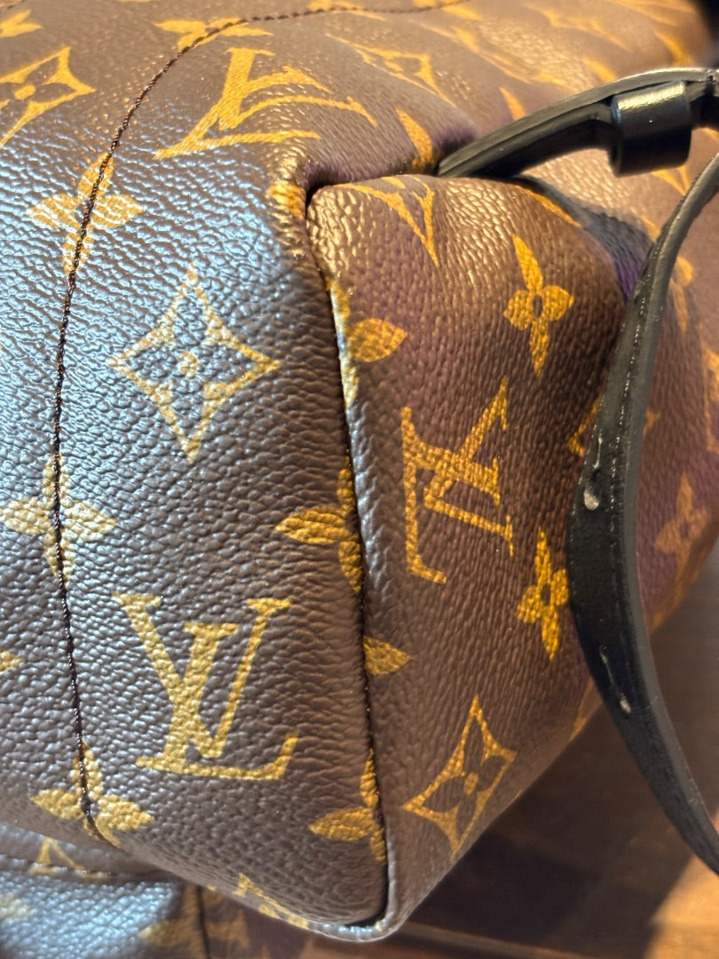 Louis Vuitton Palm Spring Backpack