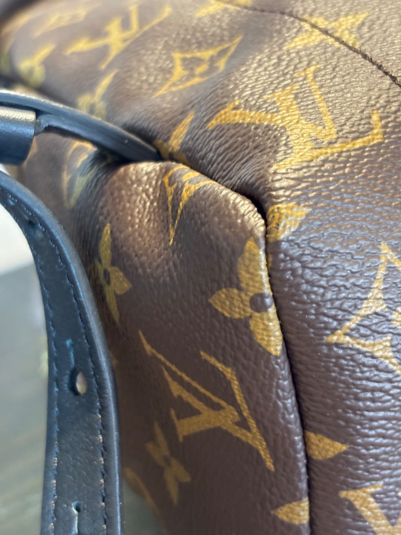 Louis Vuitton Palm Spring Backpack