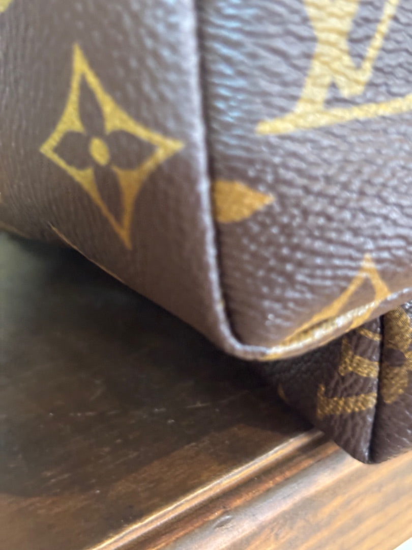 Louis Vuitton Palm Spring Backpack