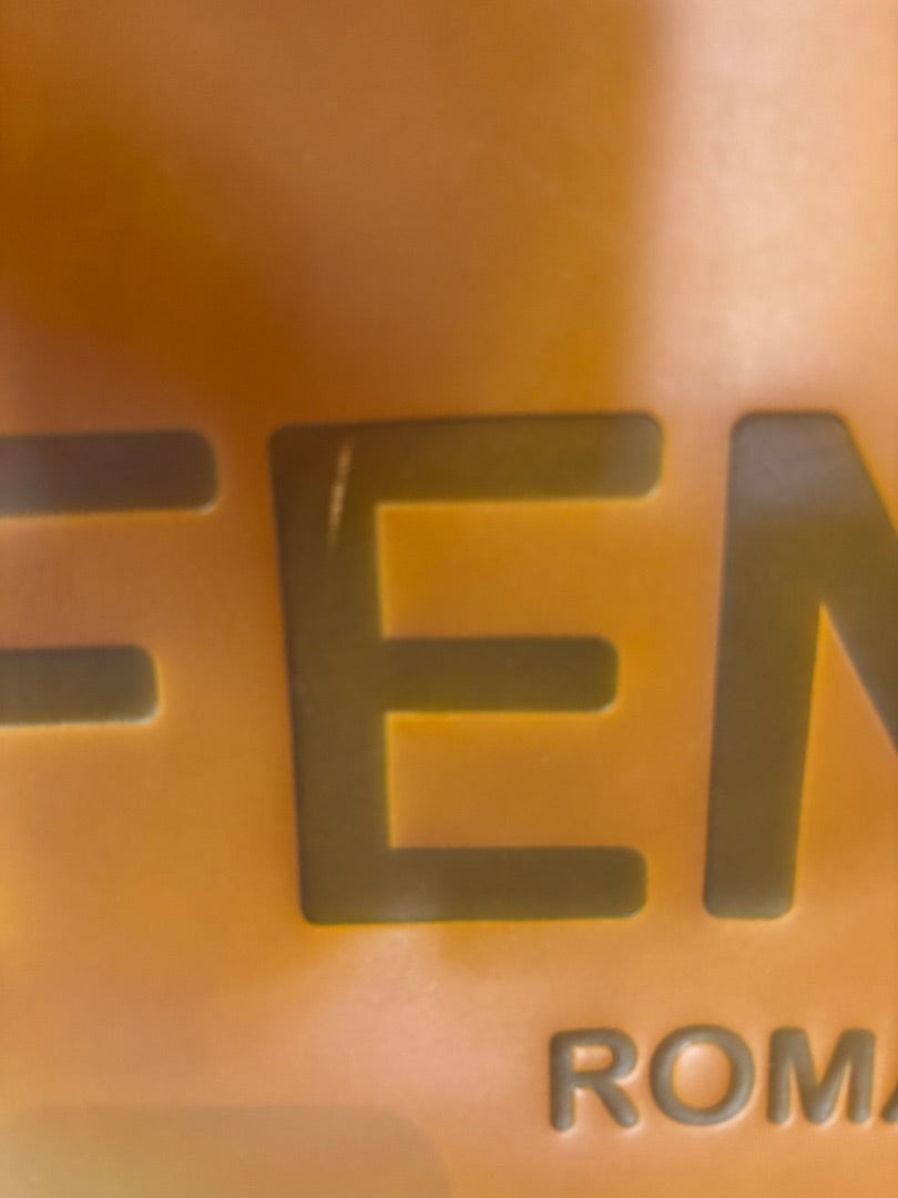 Fendi Sunshine Medium