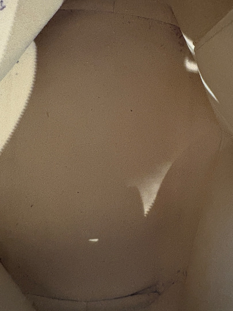 Louis Vuitton Saleya Azur PM Tote