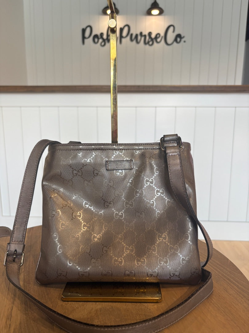 Silver Gucci Gucci Imprime Messenger Bag