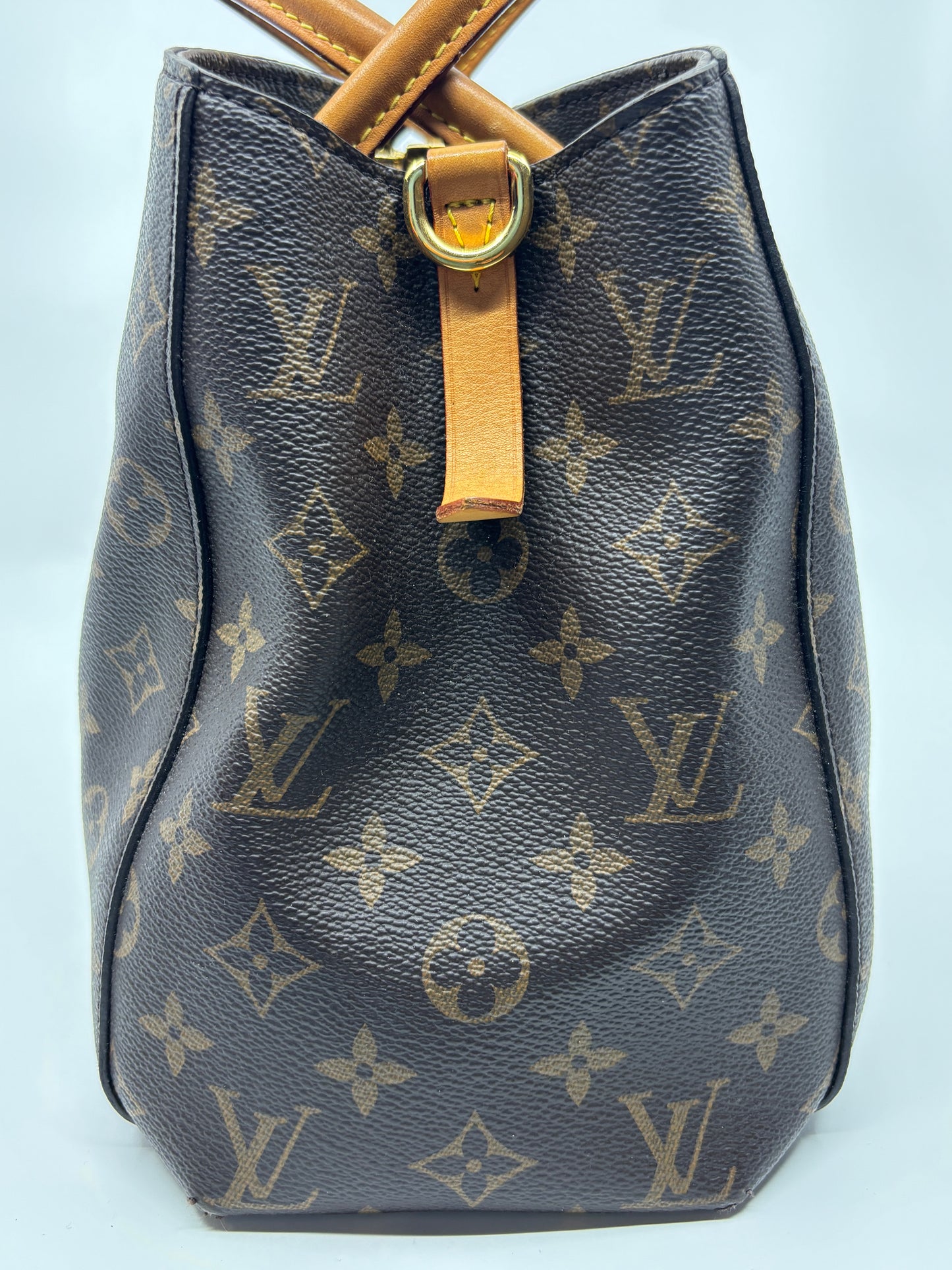 Monogram Louis Vuitton Montaigne, MM