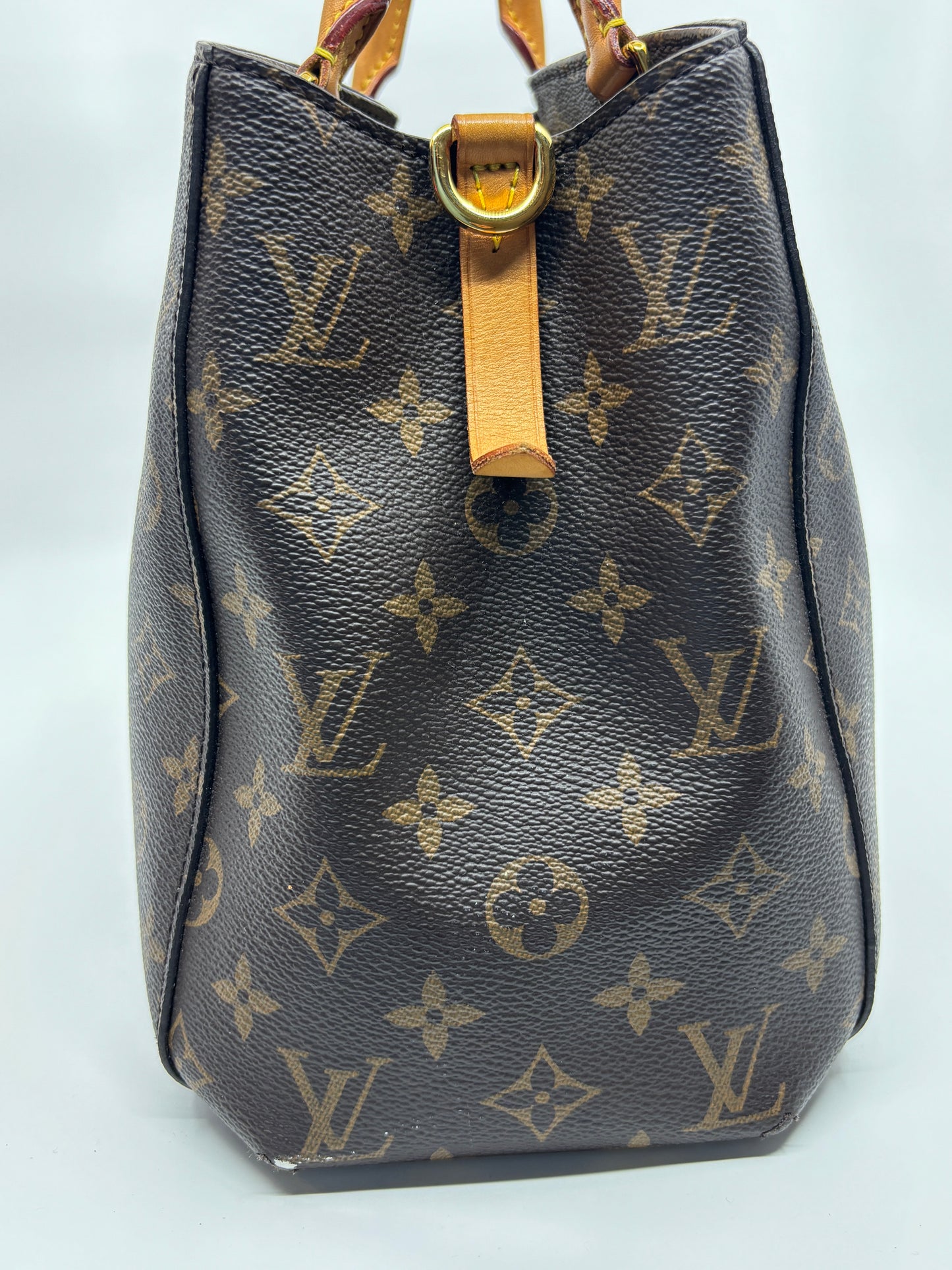 Monogram Louis Vuitton Montaigne, MM