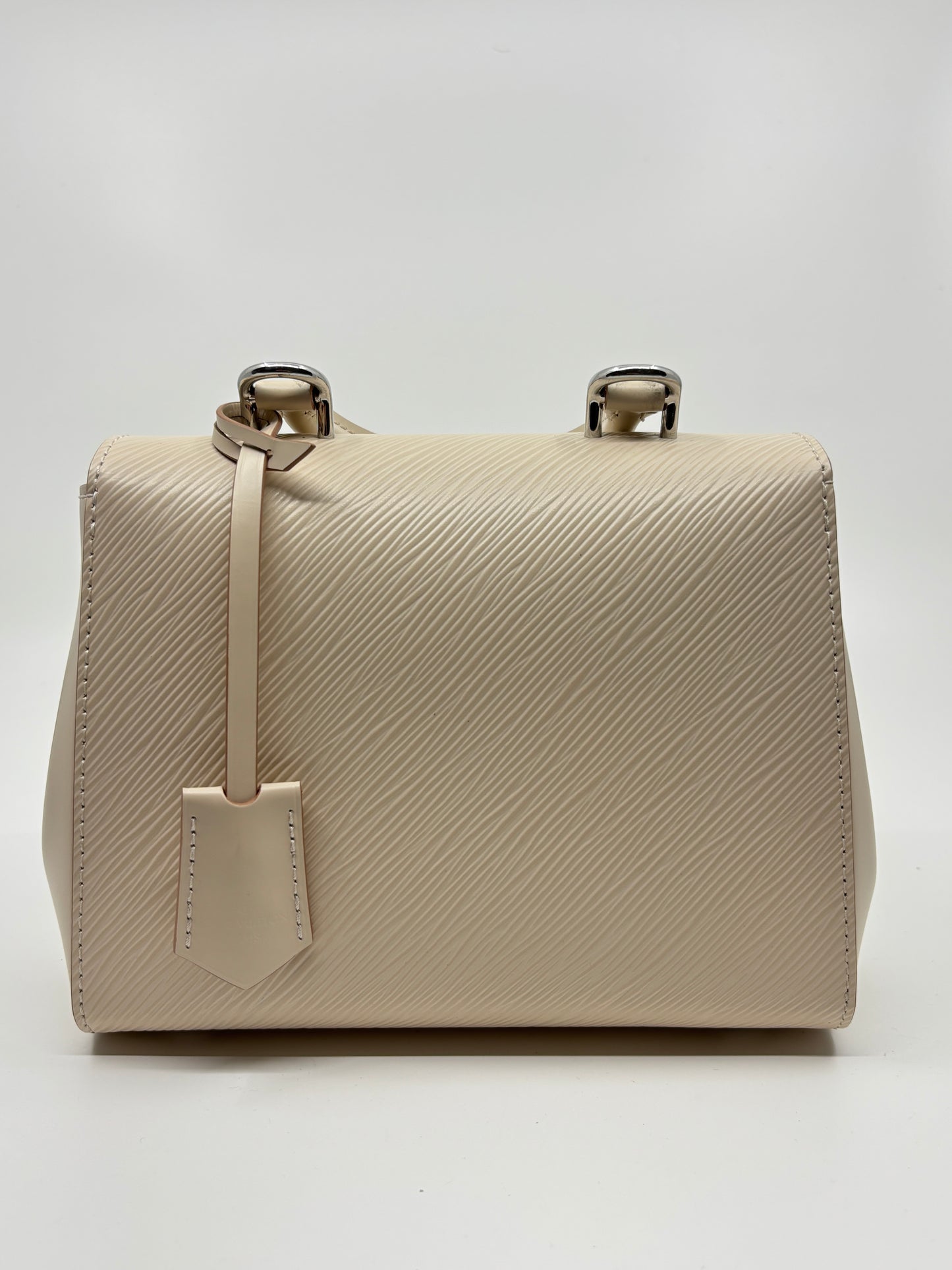 PRISTINE Louis Vuitton Mini Cluney