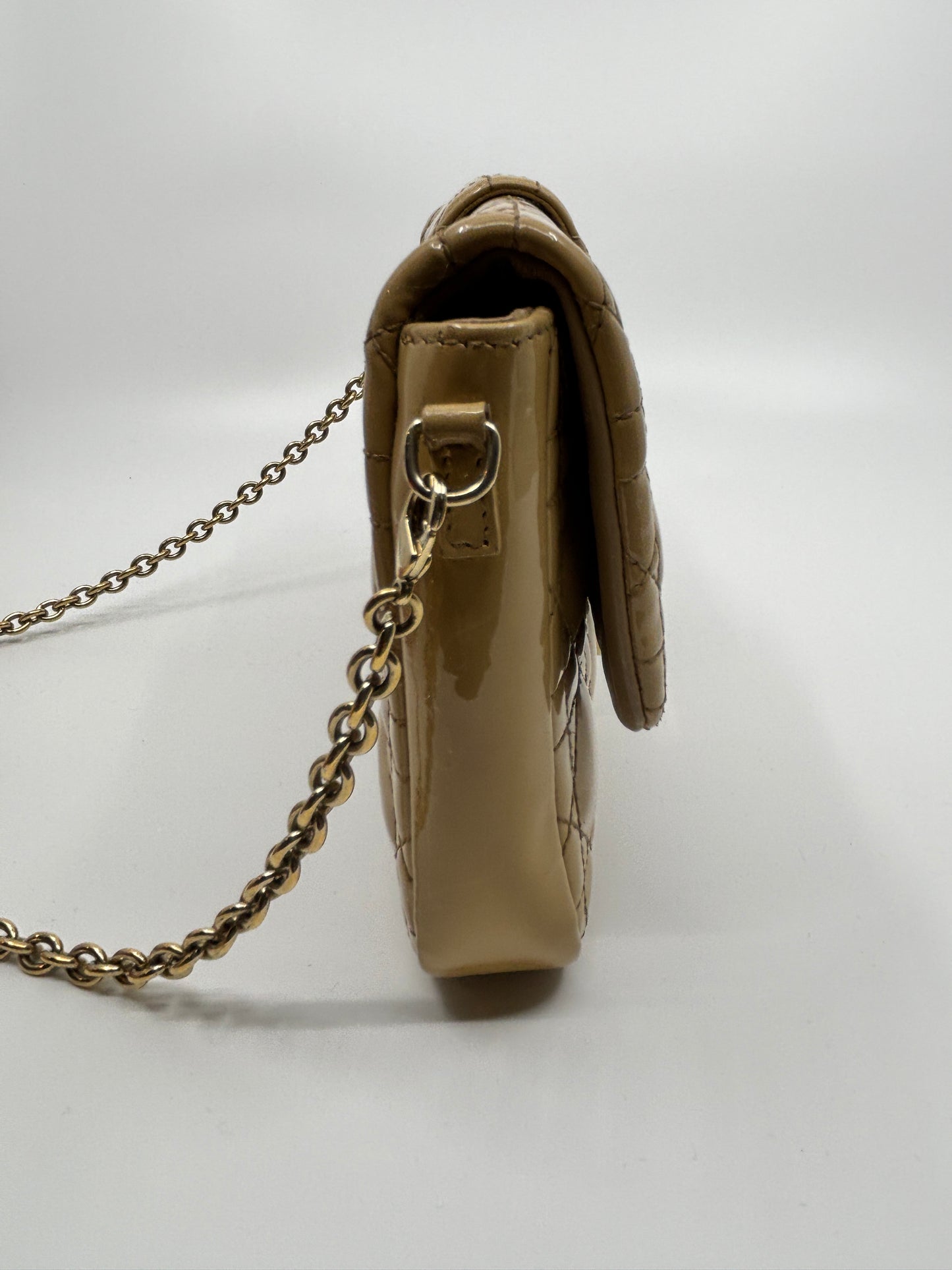 Miss Dior Promenade Chain Bag