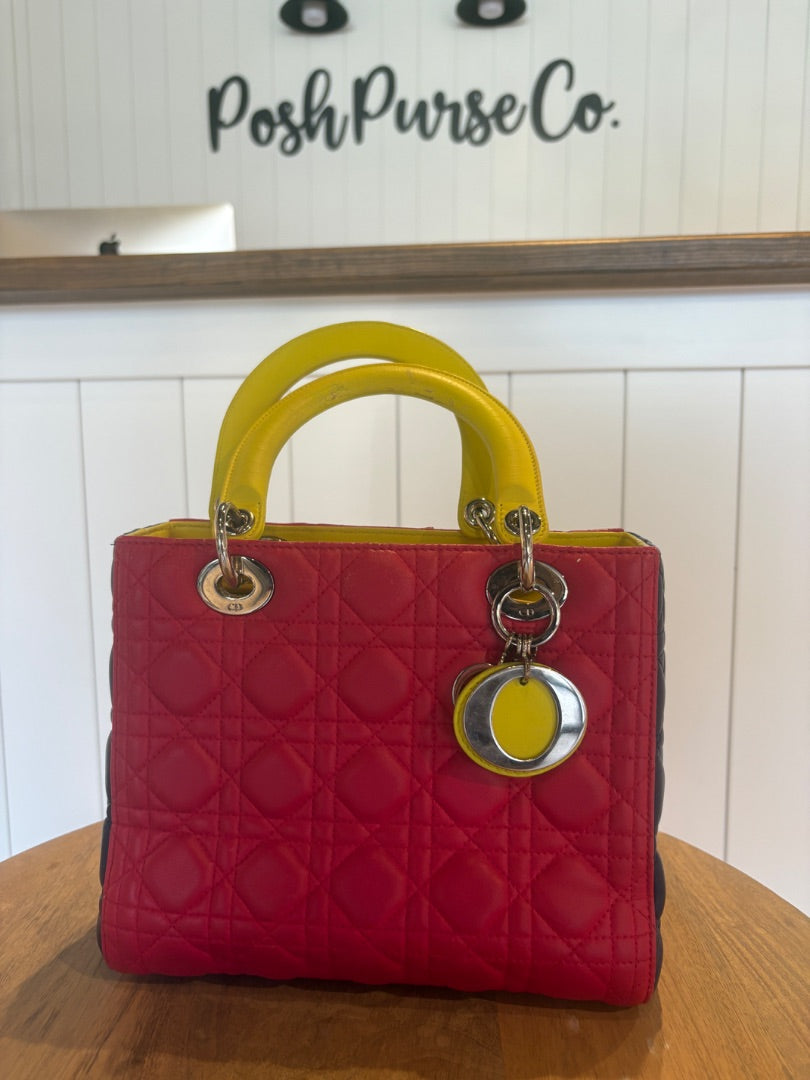 Lady Dior Multi Color
