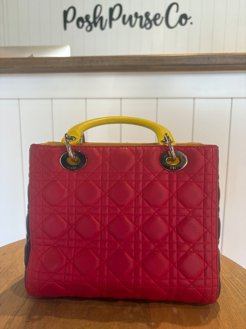 Lady Dior Multi Color