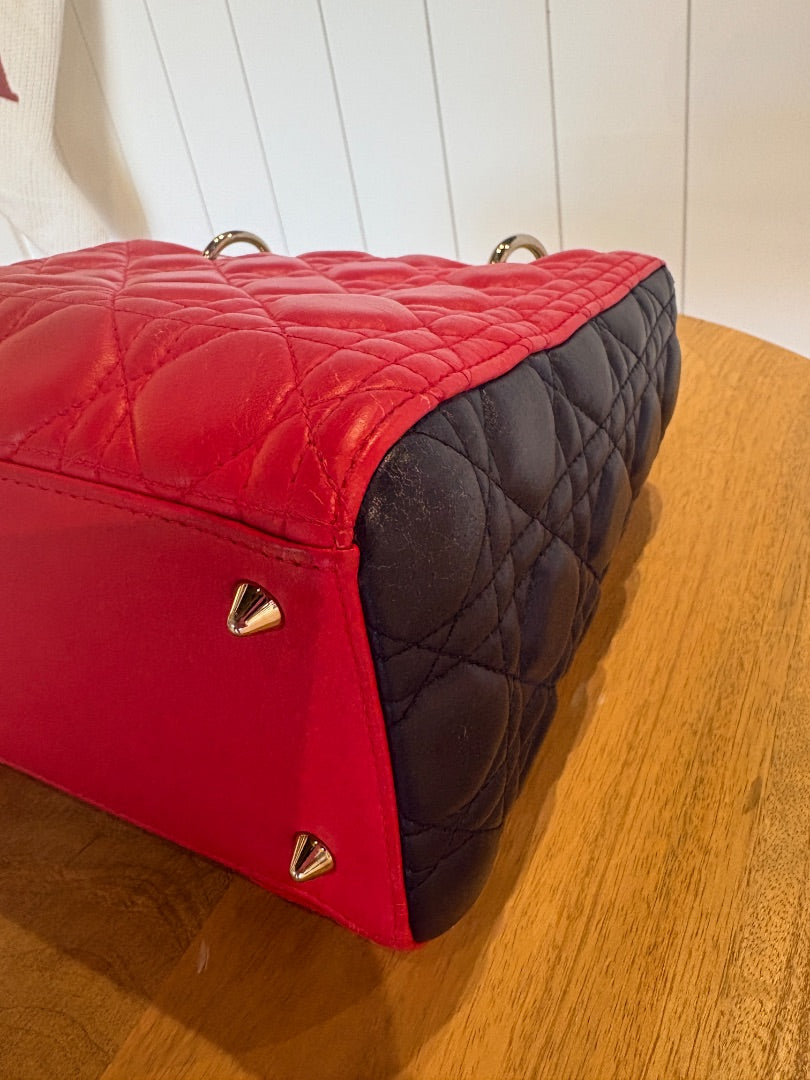 Lady Dior Multi Color