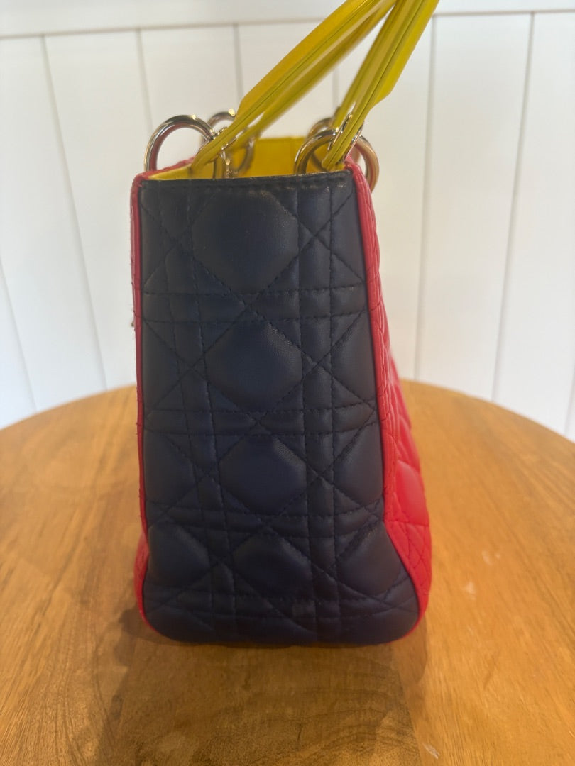 Lady Dior Multi Color