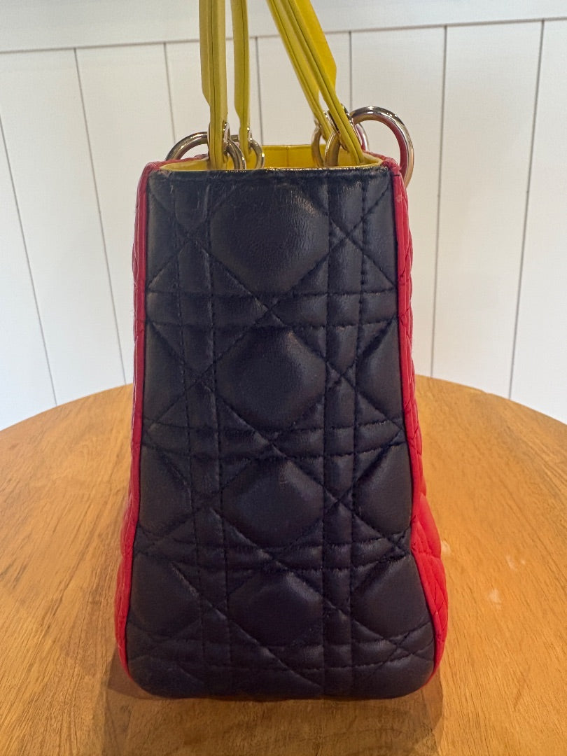 Lady Dior Multi Color