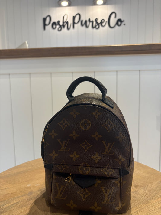 Monogram Louis Vuitton Palm Springs Mini
