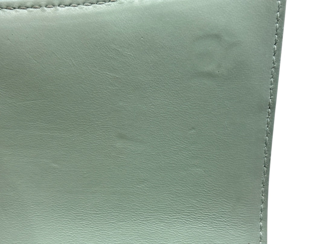 Close-up of smooth sage green leather interior lining of a Posh Purse Co Balenciaga Hourglass bag showing texture
