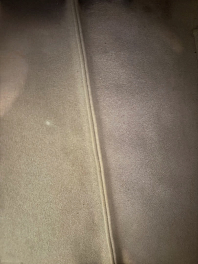 Posh Purse Co. Salvatore Ferragamo Marisa bag interior, neutral suede lining with a central seam.