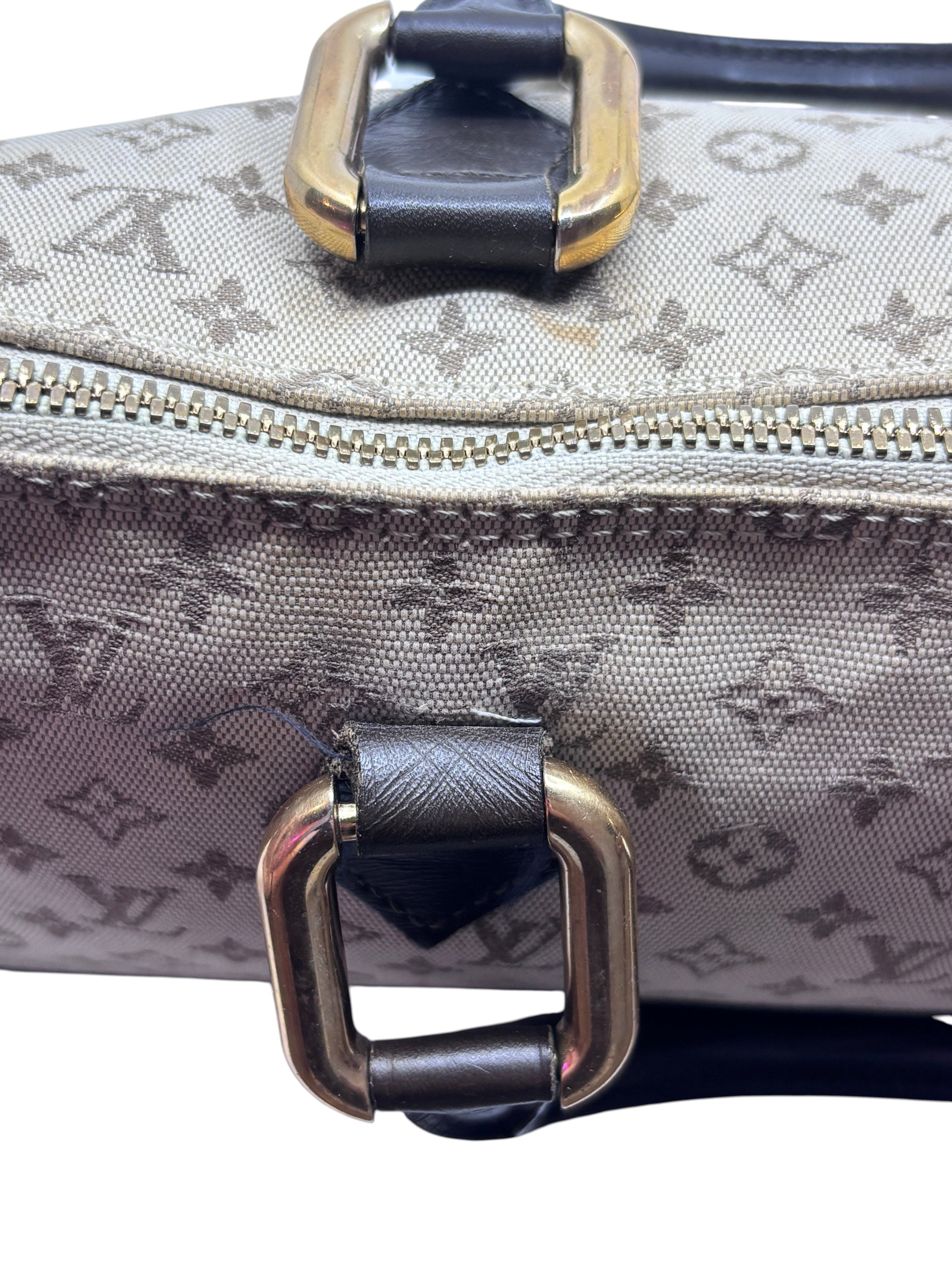 Close-up of Posh Purse Co preloved Louis Vuitton Long Mini Lin bag showing monogram canvas and gold-tone hardware