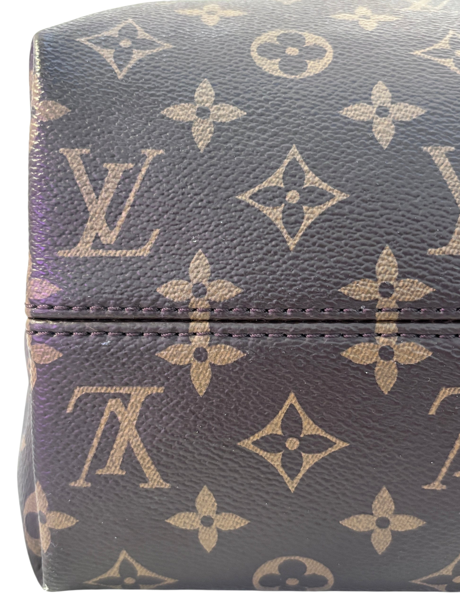 Posh Purse Co Louis Vuitton Graceful hobo bag featuring the iconic brown and tan monogram coated canvas pattern