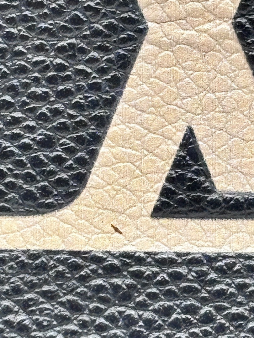 Close-up of Posh Purse Co Louis Vuitton Petit Palais bicolor giant monogram leather with visible surface wear