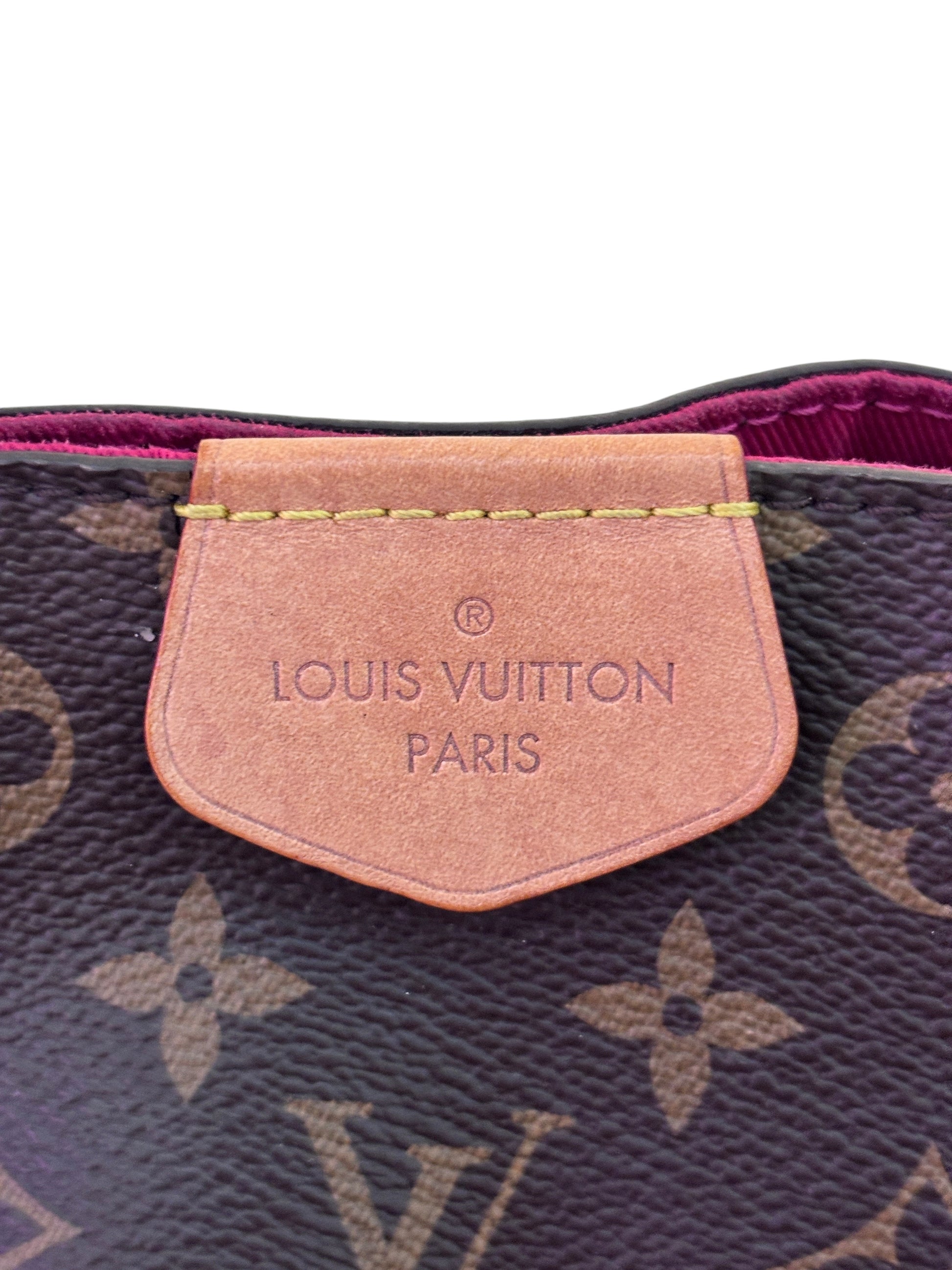 Posh Purse Co Louis Vuitton Graceful hobo bag featuring the iconic brown monogram canvas and leather logo patch