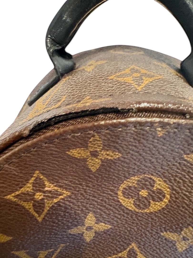 Posh Purse Co Louis Vuitton Palm Springs Mini backpack in Monogram canvas with black leather trim and top handle.